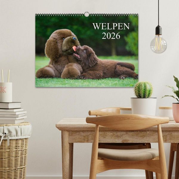 Produktbild: Welpen 2026 (Wandkalender 2026 DIN A3 quer), CALVENDO Monatskalender