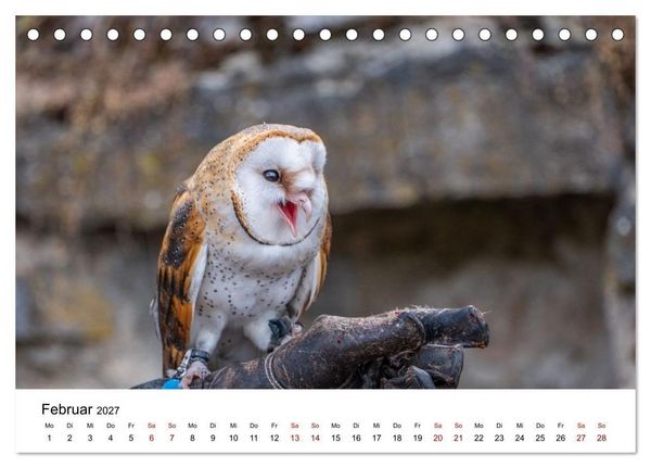 Produktbild: Greifv&ouml;gel in Aktion - Dynamische Flugbilder und Portr&auml;ts (Tischkalender 2027 DIN A5 quer), CALVENDO Monatskalender
