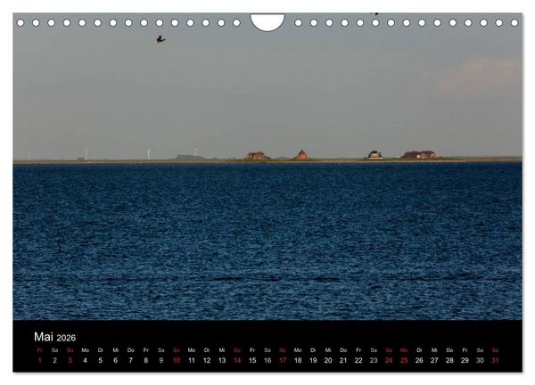 Produktbild: Pellworm 2026 (Wandkalender 2026 DIN A4 quer), CALVENDO Monatskalender
