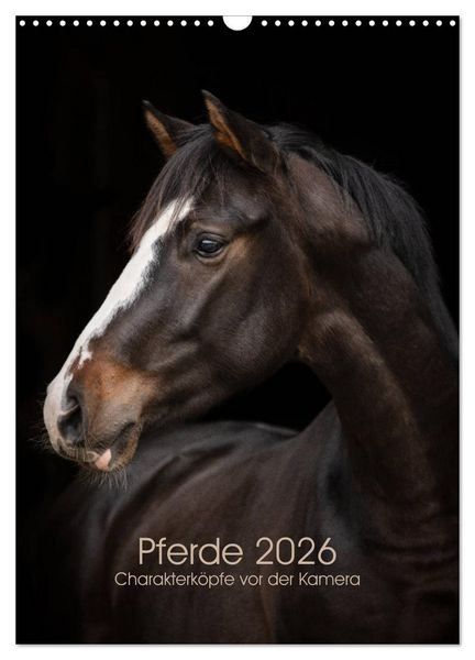 Produktbild: Pferde 2026 - Charakterk&ouml;pfe vor der Kamera (Wandkalender 2026 DIN A3 hoch), CALVENDO Monatskalender
