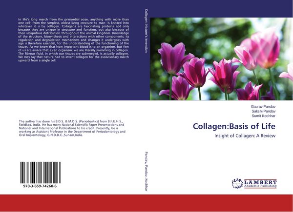 Produktbild: Collagen:Basis of Life