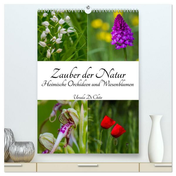Produktbild: Zauber der Natur - Heimische Orchideen und Wiesenblumen (hochwertiger Premium Wandkalender 2026 DIN A2 hoch), Kunstdruck in Hochglanz