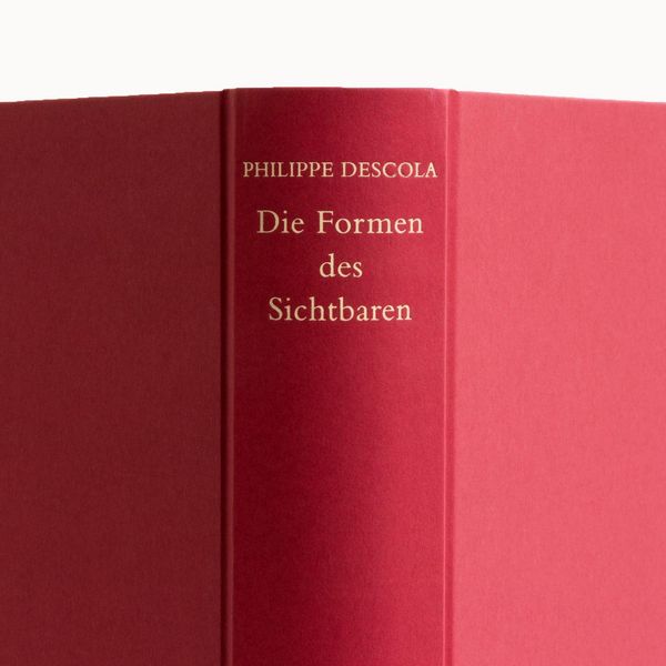 Produktbild: Die Formen des Sichtbaren