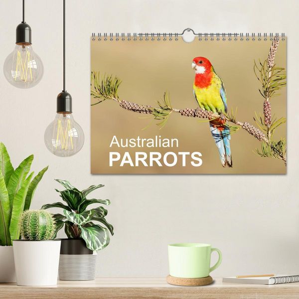 Produktbild: Australian Parrots (Wall Calendar 2026 DIN A4 landscape), CALVENDO 12 Month Wall Calendar