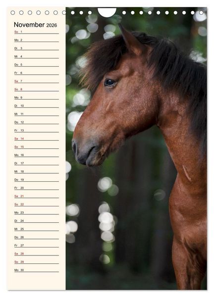Produktbild: Isl&auml;nder Geburtstagskalender (Wandkalender 2026 DIN A4 hoch), CALVENDO Monatskalender