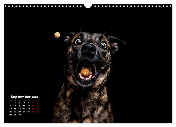 Produktbild: Leckerchen! (Wandkalender 2026 DIN A3 quer), CALVENDO Monatskalender