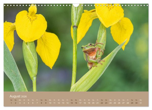 Produktbild: Jenseits der Z&auml;une (Wandkalender 2026 DIN A3 quer), CALVENDO Monatskalender