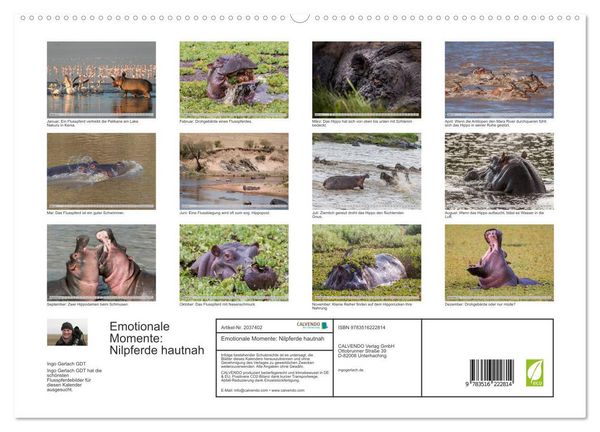 Produktbild: Emotionale Momente: Nilpferde hautnah (hochwertiger Premium Wandkalender 2026 DIN A2 quer), Kunstdruck in Hochglanz