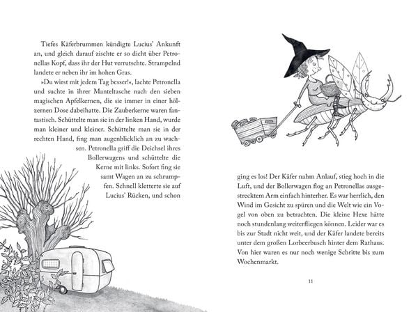 Produktbild: Zauberschlaf und Knallfroschchaos / Petronella Apfelmus Bd. 2
