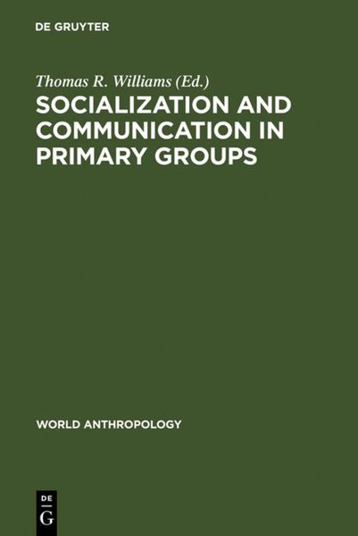 Produktbild: Socialization and Communication in Primary Groups