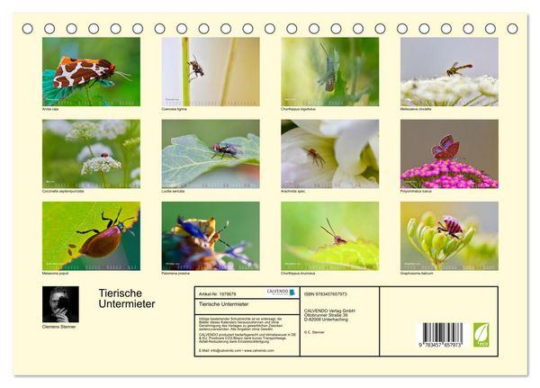 Produktbild: Tierische Untermieter (Tischkalender 2026 DIN A5 quer), CALVENDO Monatskalender