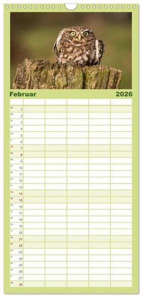 Produktbild: Familienplaner 2026 - Steink&auml;uze (Athene noctua) mit 5 Spalten (Wandkalender, 21 x 45 cm) CALVENDO