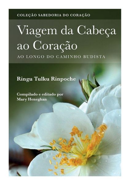 Produktbild: Viagem da Cabe&ccedil; ao Cora&ccedil;&atilde;o