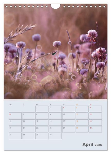 Produktbild: Magie im Garten (Wandkalender 2026 DIN A4 hoch), CALVENDO Monatskalender