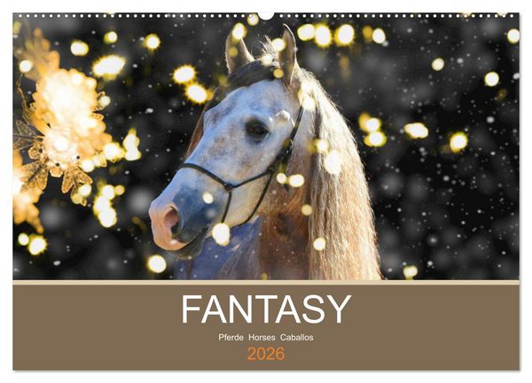 Produktbild: FANTASY Pferde Horses Caballos (Wandkalender 2026 DIN A2 quer), CALVENDO Monatskalender