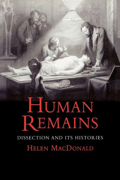 Produktbild: Human Remains