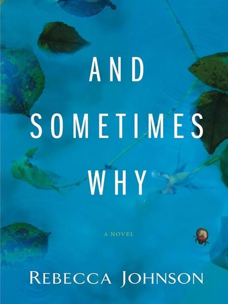 Produktbild: And Sometimes Why