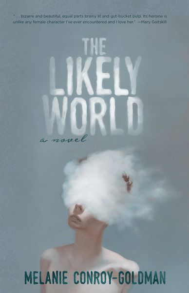 Produktbild: The Likely World