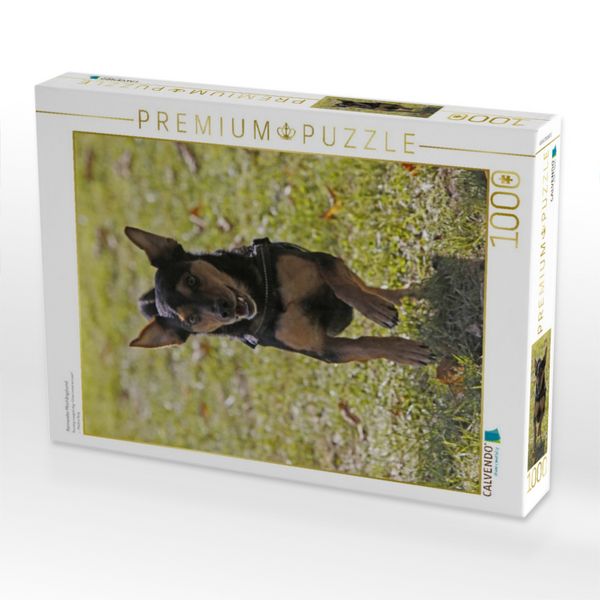 Produktbild: CALVENDO Puzzle Rennender Mischlingshund | 1000 Teile Lege-Gr&ouml;&szlig;e 64x48cm Foto-Puzzle f&uuml;r gl&uuml;ckliche Stunden
