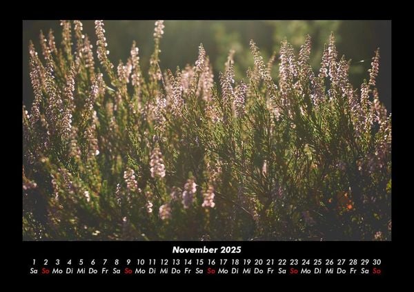 Produktbild: Pflanzen und Bl&uuml;ten 2025 Fotokalender DIN A3