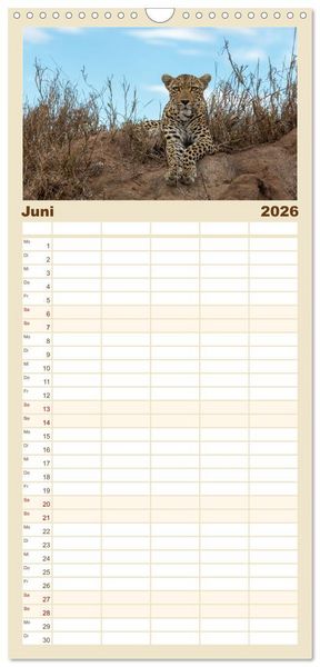 Produktbild: Familienplaner 2026 - S&uuml;dafrika wunderbare Tierwelt mit 5 Spalten (Wandkalender, 21 x 45 cm) CALVENDO