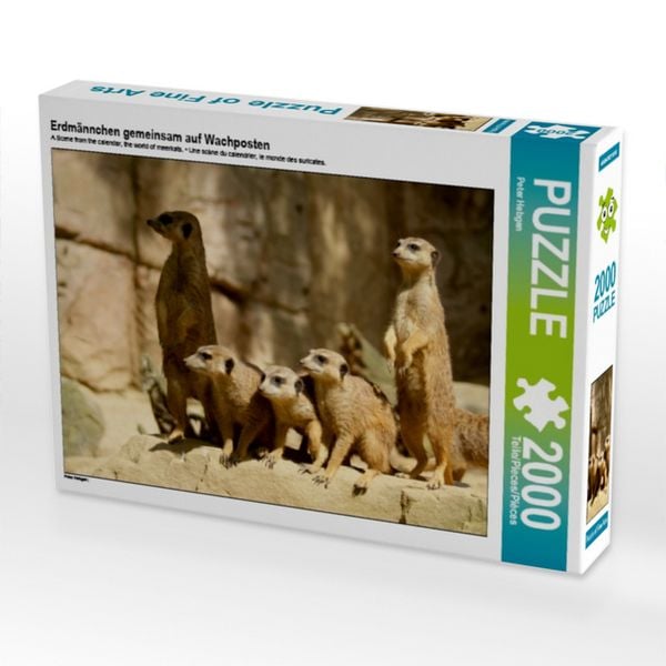 Erdmännchen gemeinsam auf Wachposten (Puzzle)