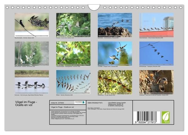 Produktbild: V&ouml;gel im Fluge - Ocells en vol (Wandkalender 2027 DIN A4 quer), CALVENDO Monatskalender
