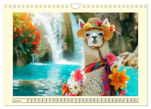 Produktbild: Lamas auf Tour. Perus flauschige Fashion-Ikonen (Wandkalender 2026 DIN A4 quer), CALVENDO Monatskalender