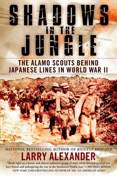 Produktbild: Shadows in the Jungle
