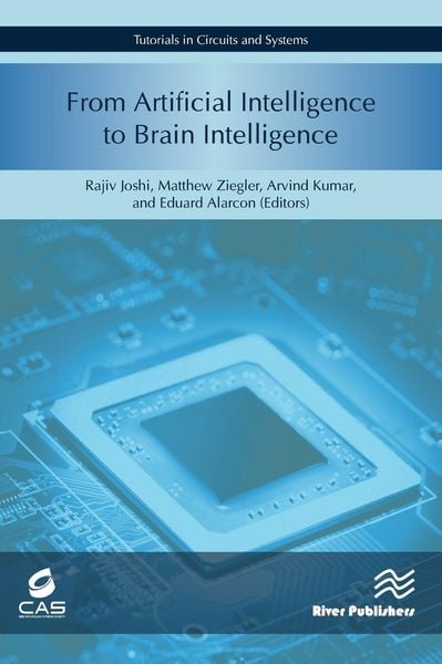 Produktbild: From Artificial Intelligence to Brain Intelligence