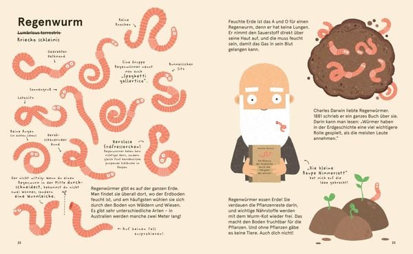 Produktbild: Das Lexikon einzigartiger Tiere