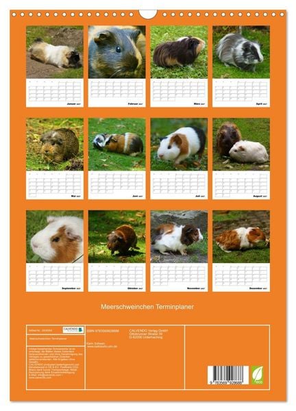Produktbild: Meerschweinchen Terminplaner (Wandkalender 2027 DIN A3 hoch), CALVENDO Monatskalender
