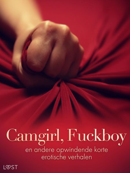 Produktbild: Camgirl, Fuckboy en andere opwindende korte erotische verhalen