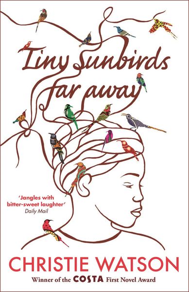 Produktbild: Tiny Sunbirds Far Away
