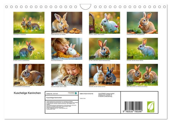 Produktbild: Kuschelige Kaninchen (Wandkalender 2026 DIN A4 quer), CALVENDO Monatskalender