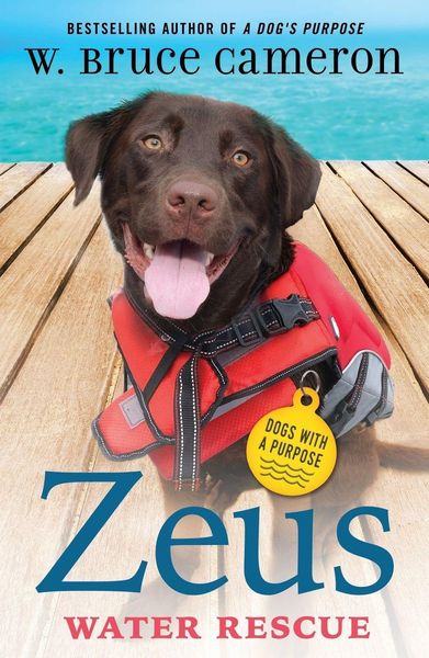 Produktbild: Zeus