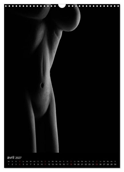 Produktbild: F&eacute;minit&eacute; (Calendrier mural 2027 DIN A3 horizontal), CALVENDO calendrier mensuel