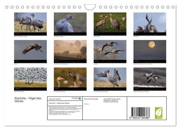 Produktbild: Kraniche - V&ouml;gel des Gl&uuml;cks (Wandkalender 2026 DIN A4 quer), CALVENDO Monatskalender