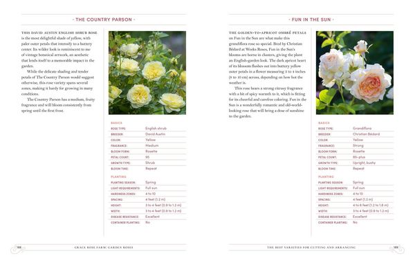 Produktbild: Grace Rose Farm: Garden Roses
