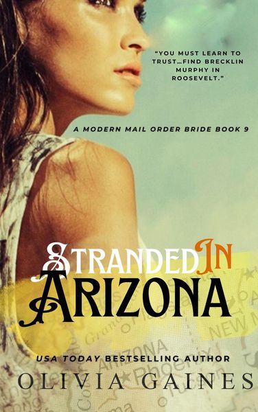 Produktbild: Stranded in Arizona (Modern Mail Order Brides, #9)