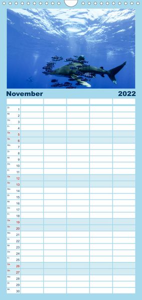 Produktbild: Tauchen, Fische und Meer - Familienplaner hoch (Wandkalender 2022 , 21 cm x 45 cm, hoch)