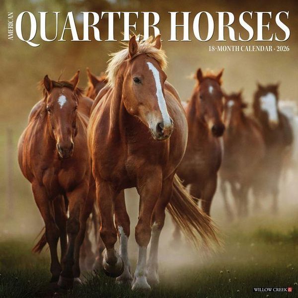 Produktbild: American Quarter Horses 2026 Wall Calendar
