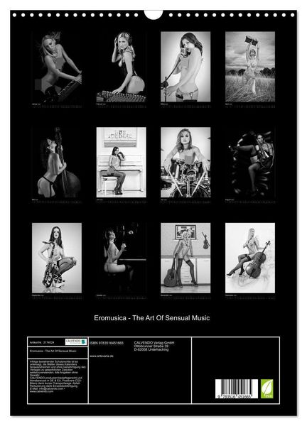 Produktbild: Eromusica - The Art Of Sensual Music (Wandkalender 2026 DIN A3 hoch), CALVENDO Monatskalender
