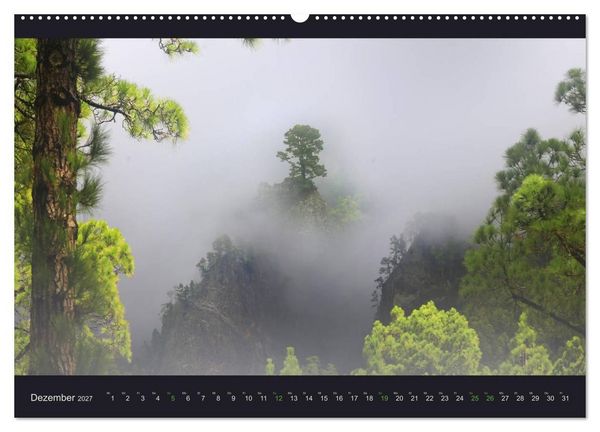 Produktbild: wildes La Palma (hochwertiger Premium Wandkalender 2027 DIN A2 quer), Kunstdruck in Hochglanz