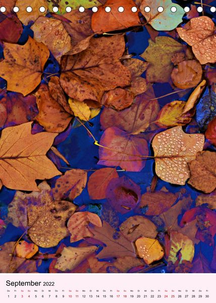 Produktbild: Lust auf Herbstfarben (Tischkalender 2022 DIN A5 hoch)