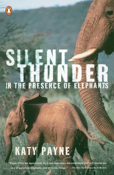 Produktbild: Silent Thunder