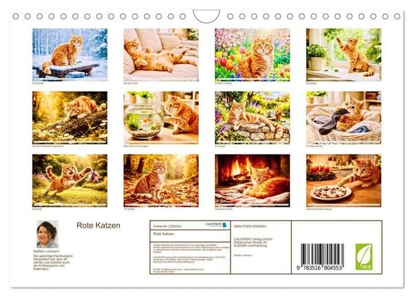 Produktbild: Rote Katzen (Wandkalender 2027 DIN A4 quer), CALVENDO Monatskalender