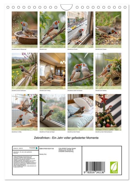 Produktbild: Zebrafinken - Ein Jahr voller gefiederter Momente (Wandkalender 2026 DIN A4 hoch), CALVENDO Monatskalender