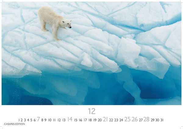 Produktbild: Arctic Landscape 2025 S 24x35cm