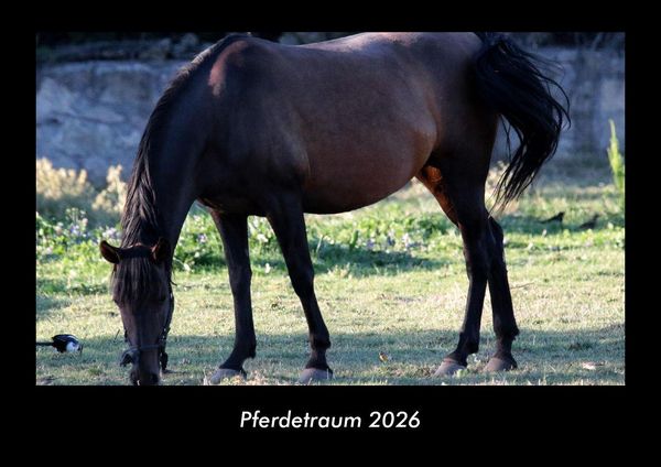 Produktbild: Pferdetraum 2026 Fotokalender DIN A3